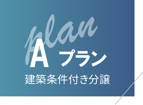 プランA