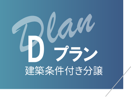 プランD
