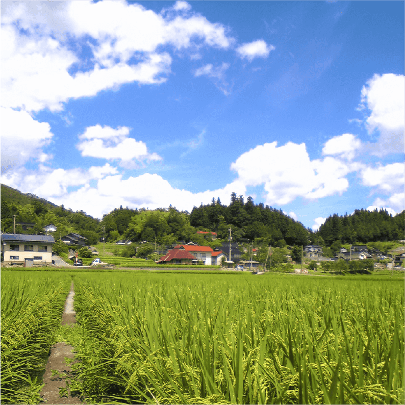 広大な土地