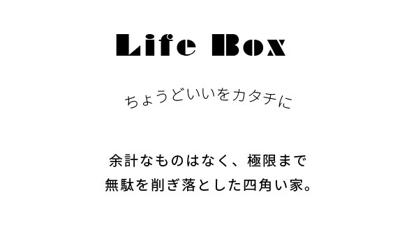 LifeBox