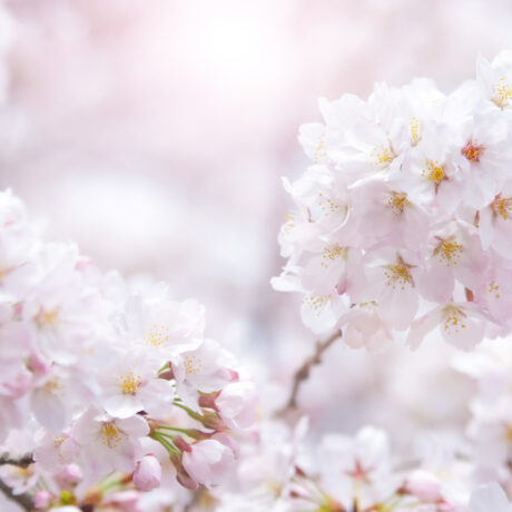 新しい季節と、ちょっとした気づき