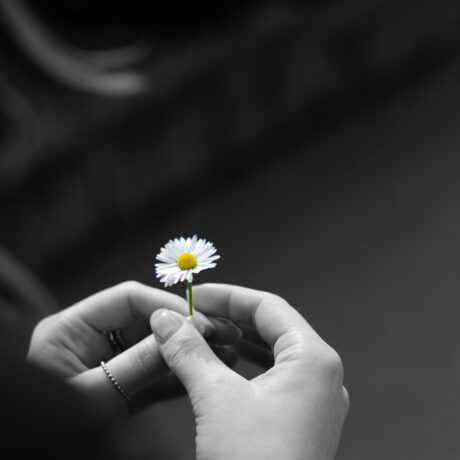 アクセントカラー