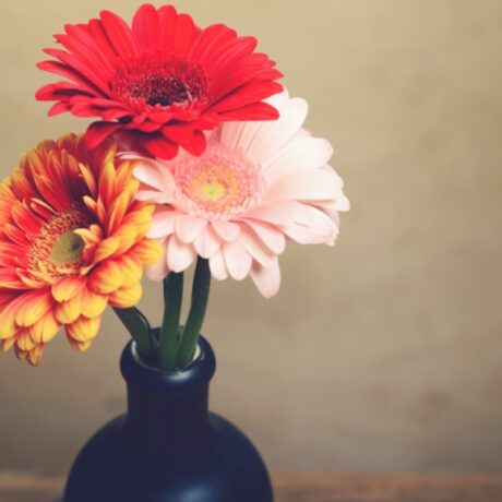 花のある暮らしと誕生花