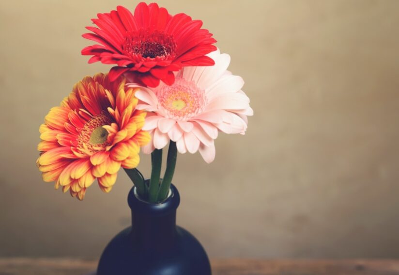 花のある暮らしと誕生花